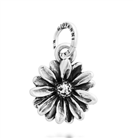 Charm Giovanni Raspini in Argento 12722